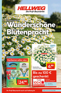 HELLWEG Prospekt - HELLWEG Die Profi-Bau-