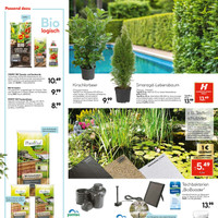 HELLWEG Prospekt - Blumen