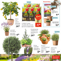 HELLWEG Prospekt Seite 19