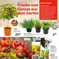 HELLWEG Prospekt Seite 13