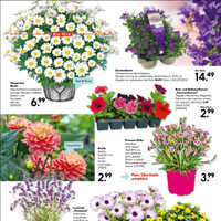 HELLWEG Prospekt Seite 19