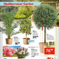 HELLWEG Prospekt Seite 21