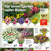 HELLWEG Prospekt Seite 23