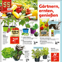 HELLWEG Prospekt - Obst & Gemüse