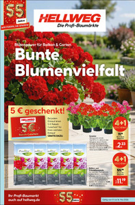 HELLWEG Prospekt - HELLWEG Die Profi-Bau- &