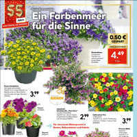 HELLWEG Prospekt Seite 20