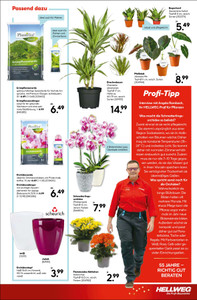 HELLWEG Prospekt - HELLWEG Die Profi-Bau- &