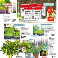 HELLWEG Prospekt - Garten & Balkon Angebote