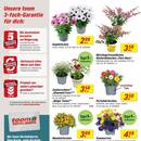 toom Baumarkt Prospekt Seite 2
