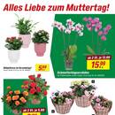 toom Baumarkt Prospekt Seite 3