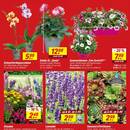 toom Baumarkt Prospekt Seite 3