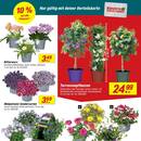 toom Baumarkt Prospekt Seite 3