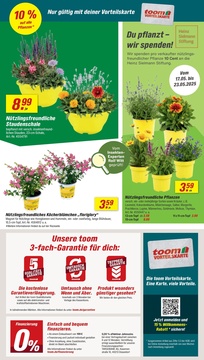 toom Baumarkt Prospekt - Angebote ab 17.05.