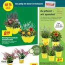 toom Baumarkt Prospekt Seite 2