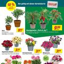 toom Baumarkt Prospekt Seite 3
