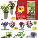 toom Baumarkt Prospekt Seite 3