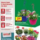 toom Baumarkt Prospekt - Blumen