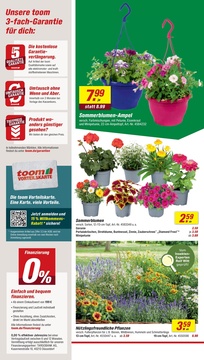 toom Baumarkt Prospekt - Angebote ab 31.05.