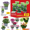 toom Baumarkt Prospekt Seite 3