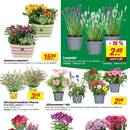 toom Baumarkt Prospekt Seite 3