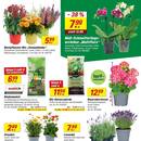 toom Baumarkt Prospekt Seite 3