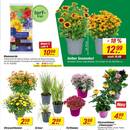 toom Baumarkt Prospekt Seite 3
