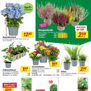 toom Baumarkt Prospekt Seite 3