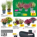 toom Baumarkt Prospekt - Herbstliche Angebote Angebote