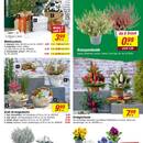 toom Baumarkt Prospekt Seite 3