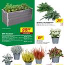 toom Baumarkt Prospekt Seite 2