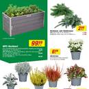 toom Baumarkt Prospekt Seite 2