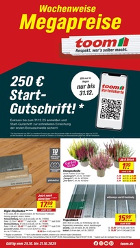 toom Baumarkt Prospekt - Angebote ab 25.10. - Seite 1