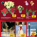 toom Baumarkt Prospekt - Blumen