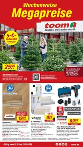 toom Baumarkt Prospekt - Angebote ab 15.11.