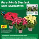 toom Baumarkt Prospekt Seite 2