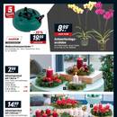 toom Baumarkt Prospekt Seite 3