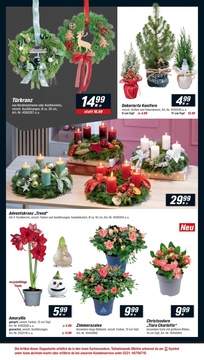 toom Baumarkt Prospekt - Angebote ab 22.11.