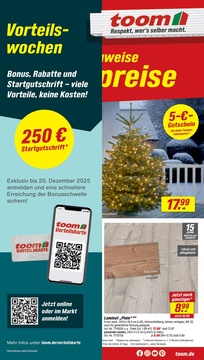 toom Baumarkt Prospekt - Angebote ab 29.11. - Seite 1