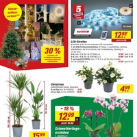 toom Baumarkt Prospekt Seite 2