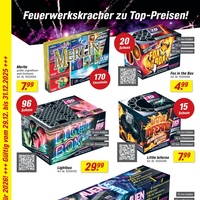 toom Baumarkt Prospekt Seite 2