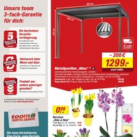 toom Baumarkt Prospekt - Blumen