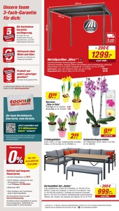 toom Baumarkt Prospekt - Angebote ab 24.01. - Seite 2