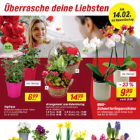 toom Baumarkt Prospekt Seite 3