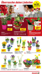 toom Baumarkt Prospekt - Angebote ab 07.02.
