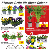 toom Baumarkt Prospekt Seite 3