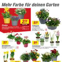 toom Baumarkt Prospekt Seite 2