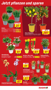 toom Baumarkt Prospekt - Angebote ab 07.03.