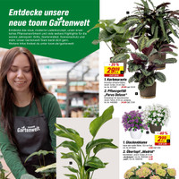 toom Baumarkt Prospekt Seite 2