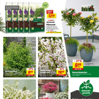 toom Baumarkt Prospekt Seite 5