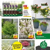 toom Baumarkt Prospekt Seite 5